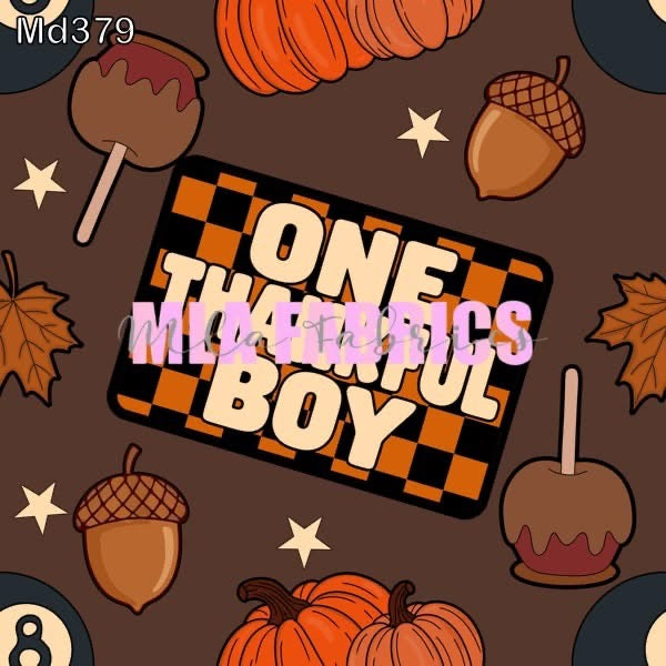 One Thankful Boy