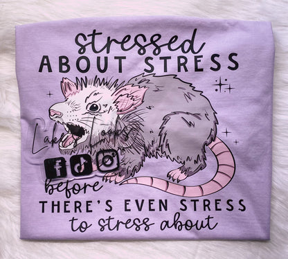 Stressed About Stress
